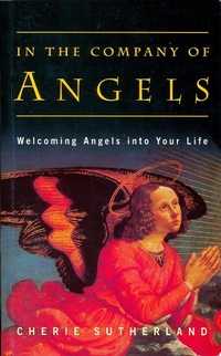 Enlarge image Cover: In the Company of Angels - Gill Books