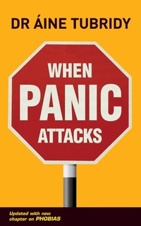 Enlarge image Cover: When Panic Attacks - Gill Books