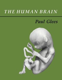Enlarge image Cover: The Human Brain - Cambridge University Press
