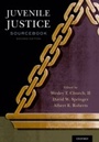 Cover: Juvenile Justice Sourcebook - OUP eBook