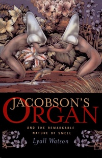 Enlarge image Cover: Jacobson's Organ - W. W. Norton & Company