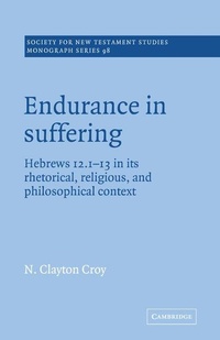 Enlarge image Cover: Endurance in Suffering - Cambridge University Press