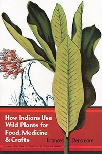 Abbildung von: How Indians Use Wild Plants for Food, Medicine & Crafts - Dover Publications