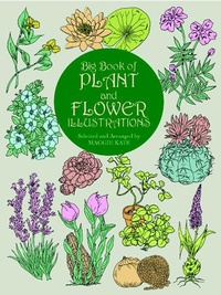 Abbildung von: Big Book of Plant and Flower Illustrations - Dover Publications