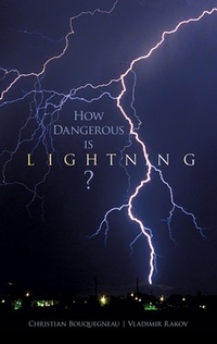 Abbildung von: How Dangerous Is Lightning? - Dover Publications