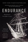 Cover: Endurance - Basic Books