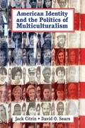 Cover: American Identity and the Politics of Multiculturalism - Cambridge University Press