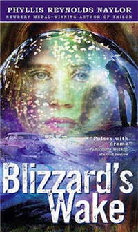 Abbildung von: Blizzard's Wake - Turtleback Books