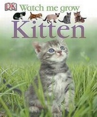 Enlarge image Cover: Kitten - DK Publishing (Dorling Kindersley)