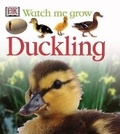 Cover: Duckling - DK Publishing (Dorling Kindersley)