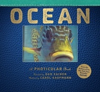 Enlarge image Cover: Ocean - Workman Adult
