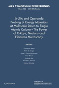 Cover: In-Situ and Operando Probing of Energy Materials at Multiscale Down to Single Atomic Column - The Power of X-Rays, Neutrons and Electron Microscopy: Volume 1262 - Cambridge University Press