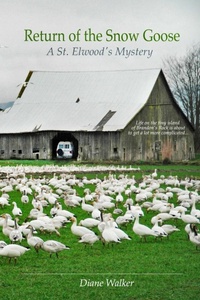 Abbildung von: Return of the Snow Goose - Lulu.com