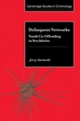 Cover: Delinquent Networks - Cambridge University Press