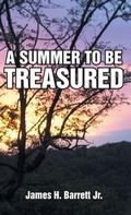 Cover: A Summer to Be Treasured - Abbott Press