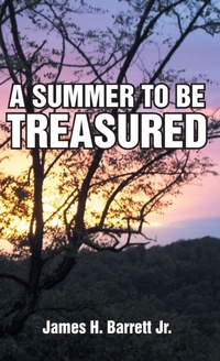Enlarge image Cover: A Summer to Be Treasured - Abbott Press