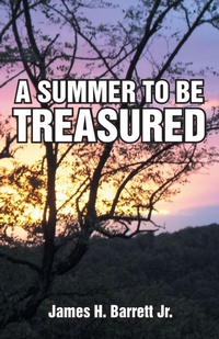 Enlarge image Cover: A Summer to Be Treasured - Abbott Press