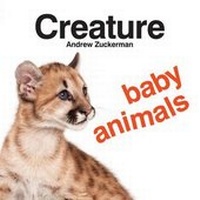 Enlarge image Cover: Creature Baby Animals - Chronicle Books
