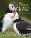 Cover: The Secret Lives of Puffins - Helm