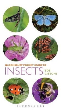 Enlarge image Cover: Pocket Guide to Insects - Bloomsbury Natural History
