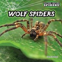 Enlarge image Cover: Wolf Spiders - PowerKids Press