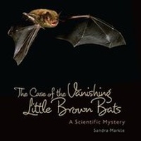 Bild vergrößern Bild: The Case of the Vanishing Little Brown Bats - Lerner Publishing Group