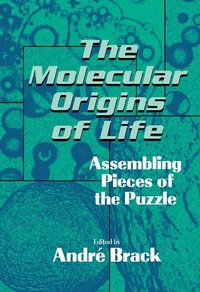 Abbildung von: The Molecular Origins of Life - Cambridge University Press