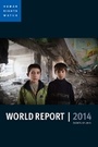 Cover: World Report 2014 - Policy Press