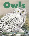 Cover: Owls - Kids Can Press