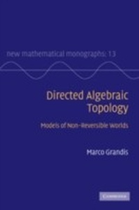 Abbildung von: Directed Algebraic Topology - Cambridge University Press