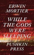 Cover: While the Gods Were Sleeping - Pushkin Press