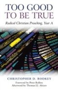 Cover: Too Good to be True - Christian Alternative