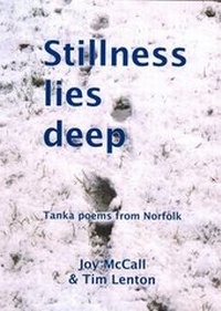 Enlarge image Cover: Stillness Lies Deep - Mousehold Press