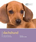 Cover: Dachshund - Dog Expert - The Pet Book Publishing Company Ltd