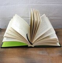 Enlarge image Cover: I Was a Stranger: 25 - Slightly Foxed: The Real Reader's Quarterly