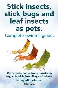 Abbildung von: Stick Insects, Stick Bugs and Leaf Insects as Pets - IMB Publishing