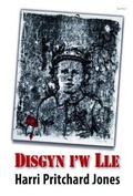 Cover: Disgyn i'w Lle - Gomer Press
