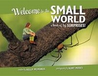 Abbildung von: Welcome to the Small World - Wise Ink