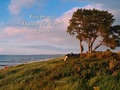 Cover: Fischland - Dar&szlig; - Zingst Kalender 2027 (gro&szlig;) - K&uuml;stenland