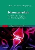 Cover: Die Schmerzmedizin - Urban & Fischer