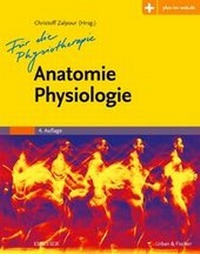 Abbildung von: Anatomie Physiologie für die Physiotherapie - Urban & Fischer