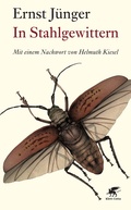 Cover: In Stahlgewittern - Klett-Cotta