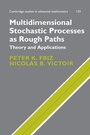 Cover: Multidimensional Stochastic Processes as Rough Paths - Cambridge University Press