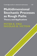 Cover: Multidimensional Stochastic Processes as Rough Paths - Cambridge University Press