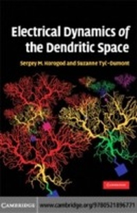 Abbildung von: Electrical Dynamics of the Dendritic Space - Cambridge University Press