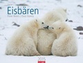 Cover: Eisb&auml;ren 2015 - Athesia Kalenderverlag GmbH
