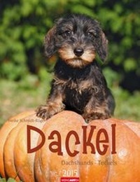 Enlarge image Cover: Dackel 2015 - Athesia Kalenderverlag GmbH