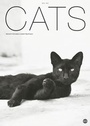 Cover: Cats Edition 2015 - Heye