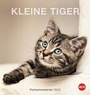 Bild: Katzen Postkartenkalender - Kleine Tiger 2015 - Heye