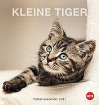 Bild vergrößern Bild: Katzen Postkartenkalender - Kleine Tiger 2015 - Heye